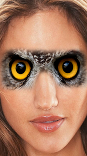 download Animal Face Swap free