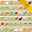 สวนผัก Download on Windows