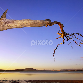 Reaching Out by Julien Johnston - Landscapes Beaches