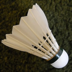 Badminton Counter.apk 6.0
