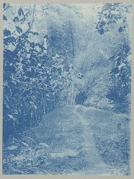 Op den westdam van Tourtonne