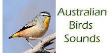 Australian Birds Sounds Free APK