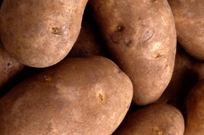 Potato1