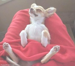 relax