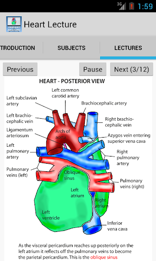 Anatomy Heart Lecture