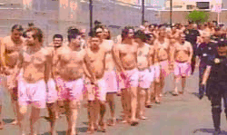 [Shorts[2].gif]