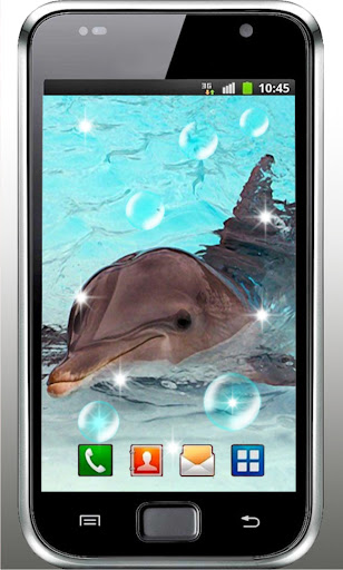 Dolphin Top HQ live wallpaper