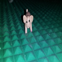 Pig Roll