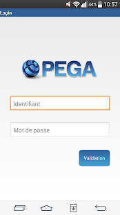 Pega CRA Screenshots 11