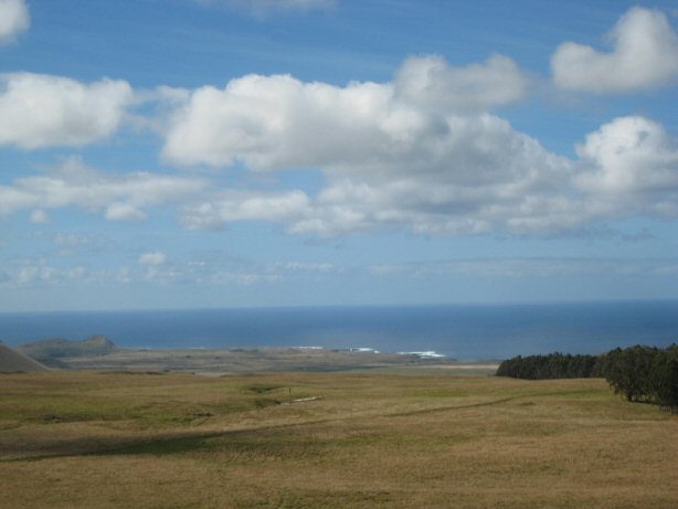 [IMG_8800.JPG]