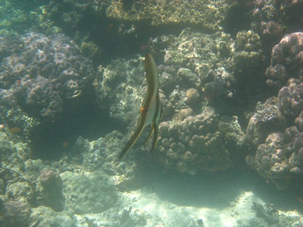 [IMG_0002.JPG]