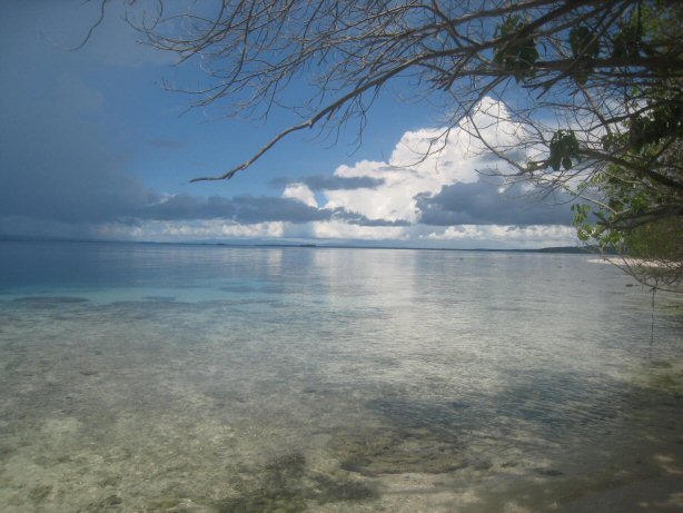 [IMG_0039.JPG]