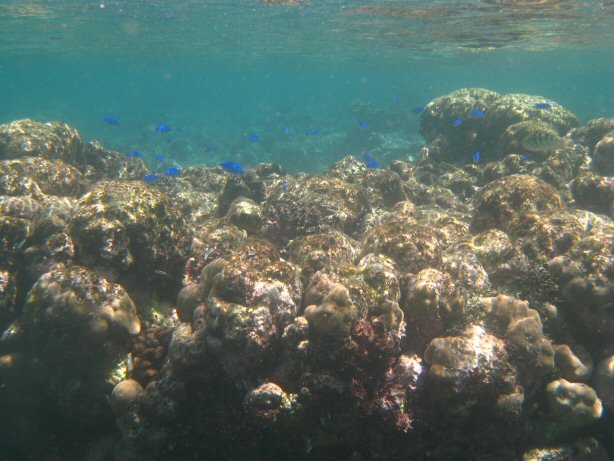 [IMG_0060.JPG]