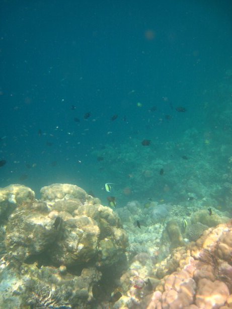 [IMG_0061.JPG]