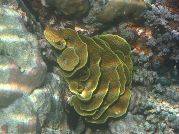 [IMG_0047.JPG]