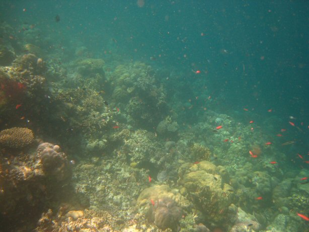 [IMG_0067.JPG]
