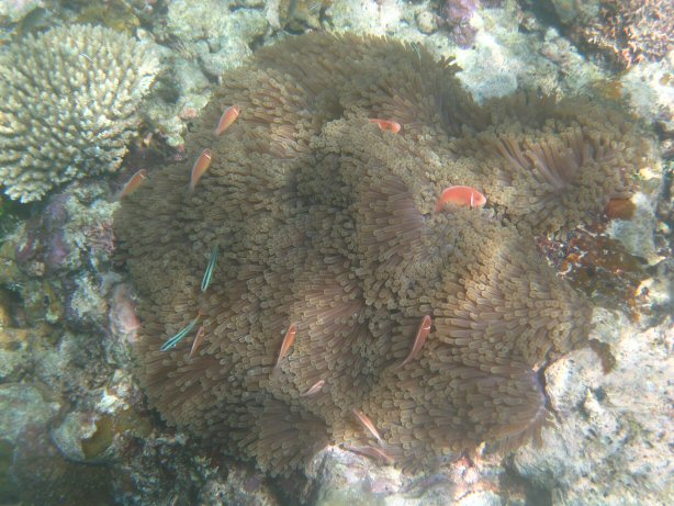 [IMG_0078.JPG]