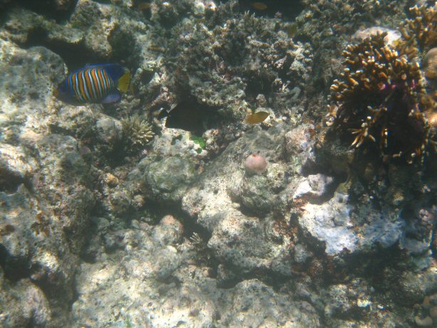 [IMG_9997.JPG]