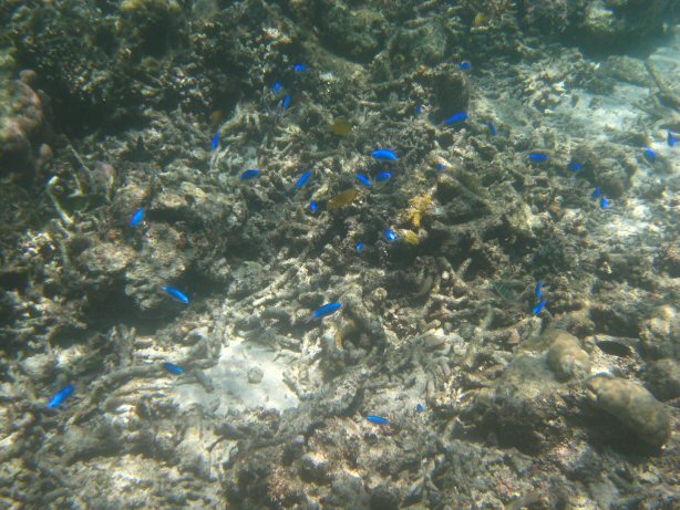 [IMG_9999.JPG]
