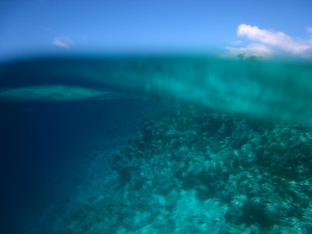 [IMG_9965.JPG]