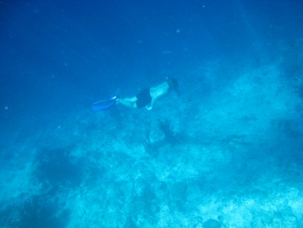 [IMG_9967.JPG]