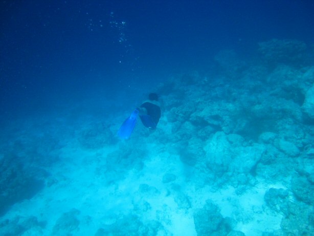 [IMG_9962.JPG]