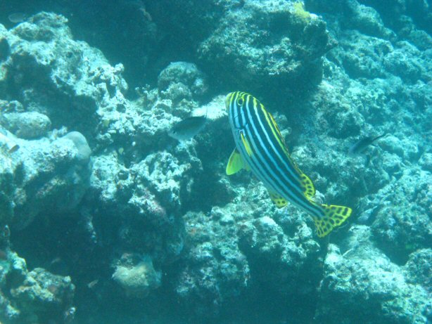 [IMG_9989.JPG]