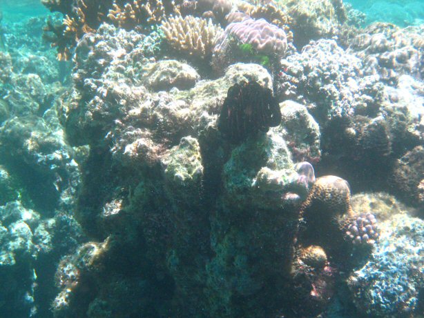 [IMG_9985.JPG]