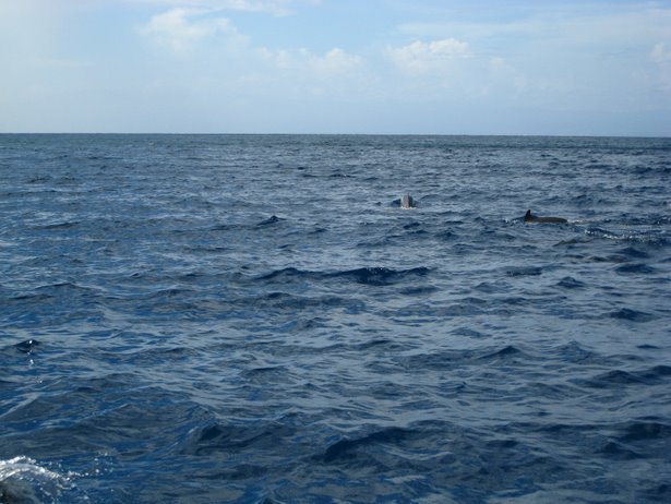 [IMG_0454.JPG]