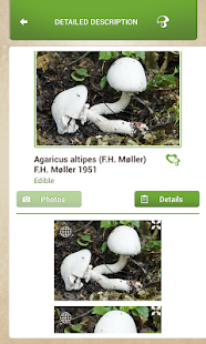 Mushrooms Sync Screenshots 4