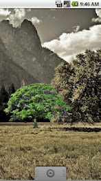 Oak Tree Summer Sticker poster 2