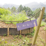 薰衣草森林(新竹尖石店)