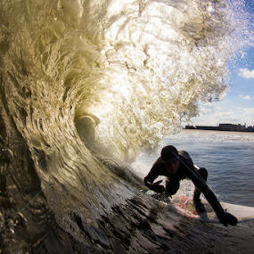 DT golden barrel by Dave Nilsen - Sports & Fitness Surfing