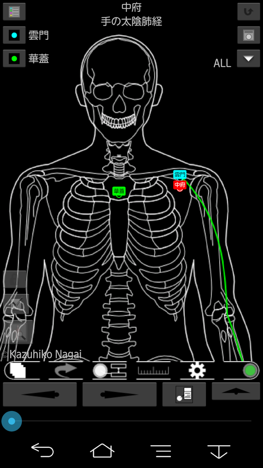 Acupuncture (Nagomi · Pro) Screen 2