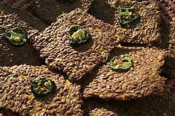 Spicy Flax Crackers