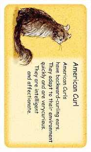 Lastest Cat Kiss APK