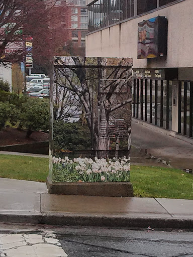 Electrical Box at Cameron and Bartlett