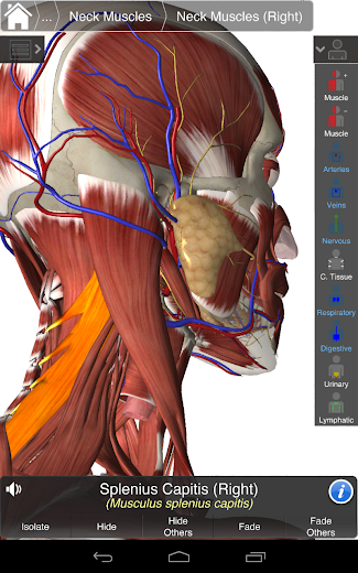 Essential Anatomy 3 - screenshot