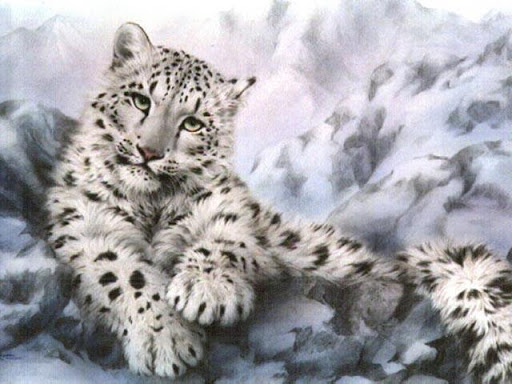 Snow Leopard Wallpapers