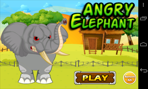Angry Elephant