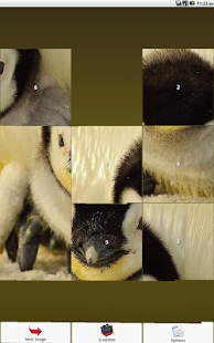Penguin Puzzle Screenshots 1