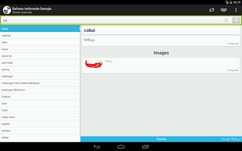 Indonesian-Georgian Dictionary Screenshots 1