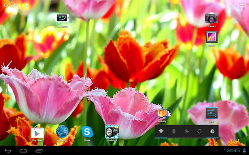 無料个人化Appの3D Fascinating Tulips Free|記事Game