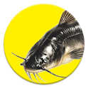 Pesegato premium logo