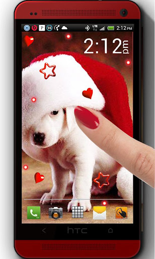 Christmas Puppies LWP