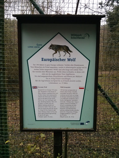 Infotafel Europäischer Wolf