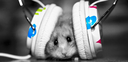 Animal Sounds -  apk apps