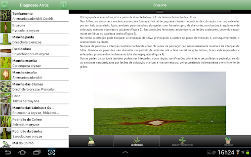 Lastest Diagnoses - Arroz Irrigado APK for Android