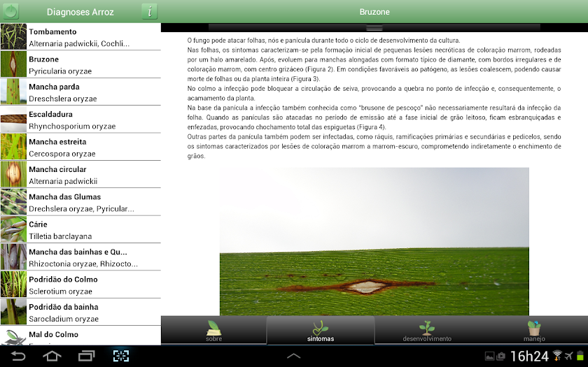 Diagnoses - Arroz Irrigado Screen 3