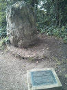 Fossil Tree